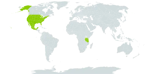 Erythrina longipes world distribution map, present in Mexico, Tanzania, United Republic of, and United States of America