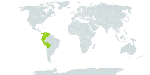 Erythrina rubrinervia world distribution map, present in American Samoa, Bolivia (Plurinational State of), Colombia, Ecuador, Sri Lanka, Panama, Peru, and Venezuela (Bolivarian Republic of)