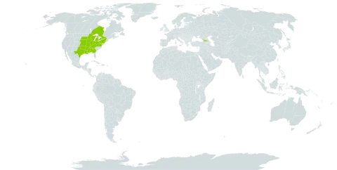 Erythronium albidum world distribution map, present in Åland Islands, Canada, Micronesia (Federated States of), Georgia, and United States of America