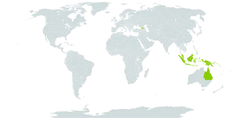 Erythroxylum ecarinatum world distribution map, present in Australia, Georgia, Indonesia, Kenya, Malaysia, Papua New Guinea, and Solomon Islands