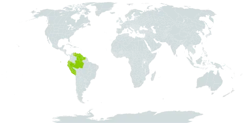 Eschweilera decolorans world distribution map, present in Brazil, Ecuador, Guyana, Peru, Suriname, and Venezuela (Bolivarian Republic of)