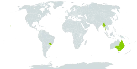 Eucalyptus albens world distribution map, present in Australia, Brazil, Myanmar, and United States of America