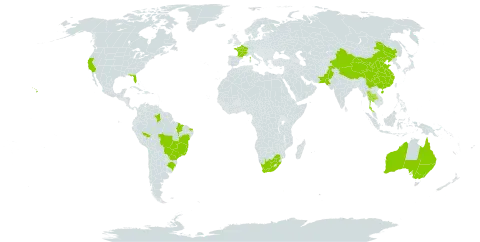 Eucalyptus camaldulensis world distribution map, present in Australia, Brazil, China, France, Pakistan, Thailand, United States of America, and South Africa