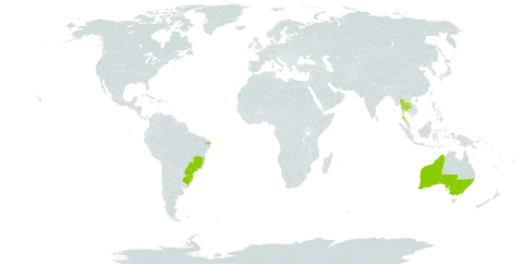 Eucalyptus cinerea world distribution map, present in Australia, Brazil, Thailand, and United States of America