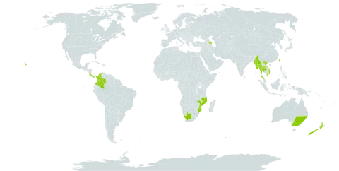 Eucalyptus cinerea subsp. cinerea world distribution map, present in Australia, Azerbaijan, Colombia, Costa Rica, Myanmar, Mozambique, New Zealand, Panama, Thailand, Taiwan, Province of China, United States of America, Viet Nam, and South Africa