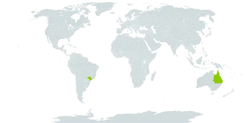 Eucalyptus cullenii world distribution map, present in Australia and Brazil