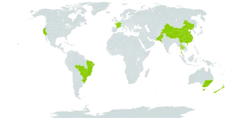 Eucalyptus globulus world distribution map, present in Australia, Brazil, China, France, New Zealand, Pakistan, Thailand, and United States of America