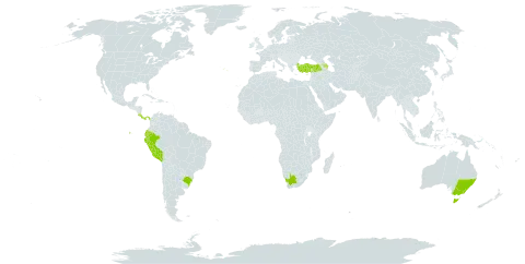 Eucalyptus globulus subsp. bicostata world distribution map, present in Australia, Azerbaijan, Brazil, Costa Rica, Ecuador, Panama, Peru, Portugal, Turkey, and South Africa