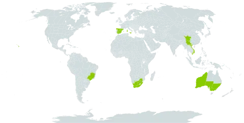 Eucalyptus globulus subsp. maidenii world distribution map, present in Australia, Brazil, China, Spain, Italy, Portugal, United States of America, Viet Nam, and South Africa