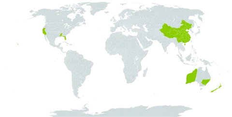 Eucalyptus l'hér. world distribution map, present in Australia, China, New Zealand, and United States of America