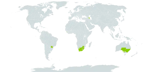 Eucalyptus macarthurii world distribution map, present in Australia, Azerbaijan, Brazil, Sri Lanka, and South Africa