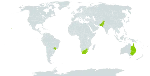 Eucalyptus moluccana world distribution map, present in Australia, Brazil, Pakistan, United States of America, and South Africa