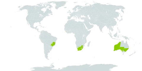 Eucalyptus piperita world distribution map, present in Australia, Brazil, Sri Lanka, and South Africa