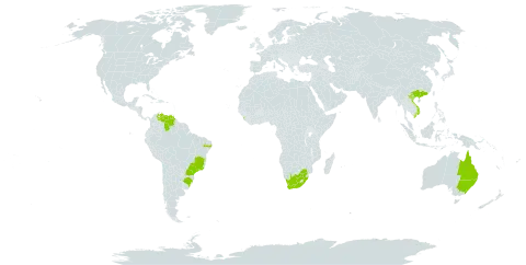 Eucalyptus punctata world distribution map, present in Australia, Brazil, China, Sri Lanka, Venezuela (Bolivarian Republic of), Viet Nam, and South Africa