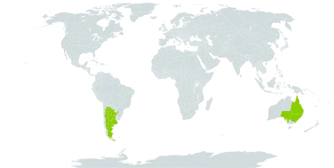 Eucalyptus quadrangulata world distribution map, present in Argentina and Australia