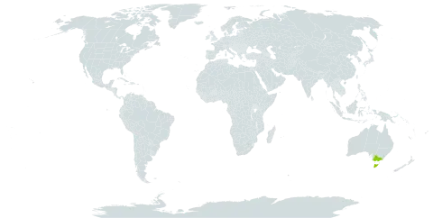 Eucalyptus rubida world distribution map, present in Australia