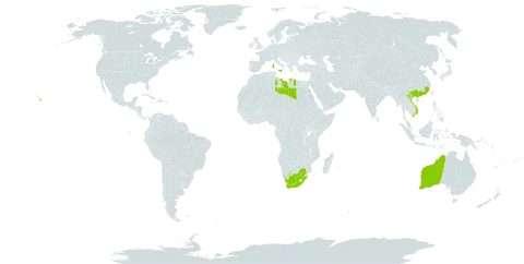 Eucalyptus rudis subsp. rudis world distribution map, present in Australia, China, Spain, Italy, Libya, Trinidad and Tobago, United States of America, Viet Nam, and South Africa