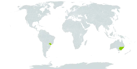 Eucalyptus tindaliae world distribution map, present in Australia and Brazil