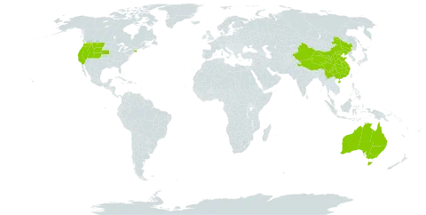 Euclidium syriacum world distribution map, present in Australia, China, India, and United States of America