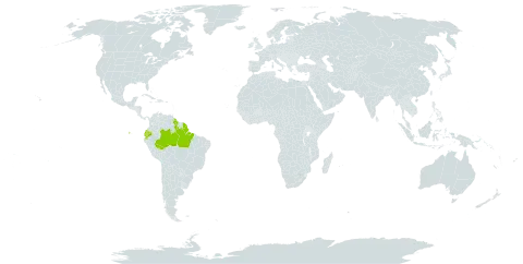 Eugenia mimus world distribution map, present in Brazil, Ecuador, French Guiana, and Guyana