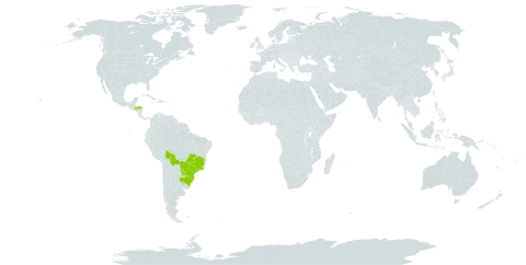 Eugenia pyriformis world distribution map, present in Argentina, Bolivia (Plurinational State of), Brazil, Honduras, Paraguay, and Uruguay