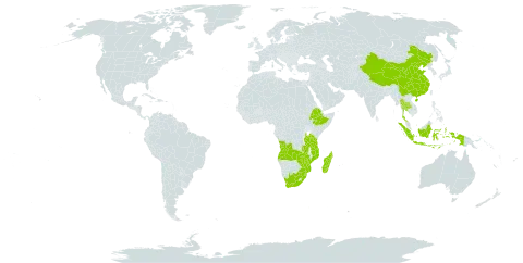 Eulalia villosa world distribution map, present in Angola, China, Ethiopia, Indonesia, Madagascar, Mozambique, eSwatini, Thailand, Tanzania, United Republic of, South Africa, Zambia, and Zimbabwe