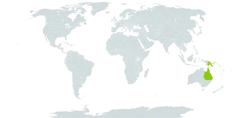 Euodia hortensis world distribution map, present in American Samoa, Australia, Fiji, Micronesia (Federated States of), Niue, Papua New Guinea, Solomon Islands, Tonga, Vanuatu, Wallis and Futuna, and Samoa