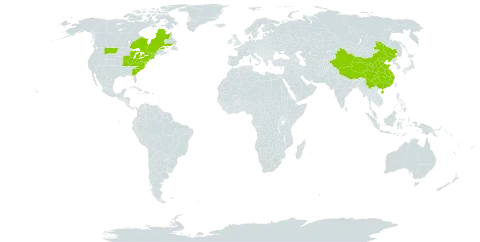 Euonymus alatus world distribution map, present in Canada, China, and United States of America