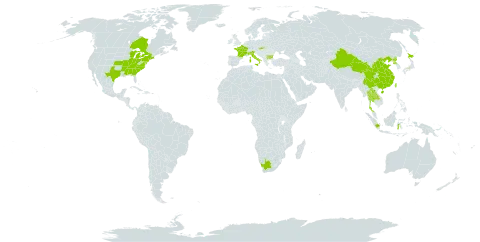 Euonymus fortunei world distribution map, present in Bulgaria, Canada, China, France, Indonesia, Italy, Japan, Lao People's Democratic Republic, Myanmar, Korea (Democratic People's Republic of), Slovakia, Thailand, Taiwan, Province of China, United States of America, and South Africa