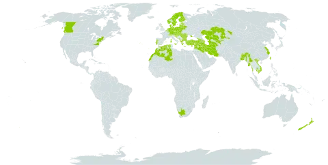 Eupatorium cannabinum subsp. cannabinum world distribution map, present in Albania, Andorra, Armenia, Austria, Azerbaijan, Belgium, Bangladesh, Bulgaria, Bosnia and Herzegovina, Belarus, Bhutan, Canada, Switzerland, China, Cyprus, Czech Republic, Germany, Denmark, Algeria, Spain, Estonia, Finland, France, United Kingdom of Great Britain and Northern Ireland, Georgia, Greece, Croatia, Hungary, India, Iran (Islamic Republic of), Iraq, Israel, Italy, Kazakhstan, Cambodia, Lebanon, Liechtenstein, Lithuania, Luxembourg, Latvia, Morocco, Monaco, Moldova (Republic of), North Macedonia, Malta, Myanmar, Montenegro, Netherlands, Norway, Nepal, New Zealand, Philippines, Poland, Portugal, Romania, Russian Federation, Serbia, Slovakia, Slovenia, Sweden, Syrian Arab Republic, Turkmenistan, Turkey, Taiwan, Province of China, Ukraine, United States of America, Uzbekistan, Viet Nam, and South Africa