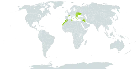 Euphorbia aleppica world distribution map, present in Bulgaria, Cyprus, France, Greece, Iraq, Morocco, Palau, Romania, Tunisia, and Ukraine