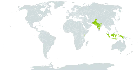 Euphorbia caducifolia world distribution map, present in Indonesia, India, Kenya, and Pakistan