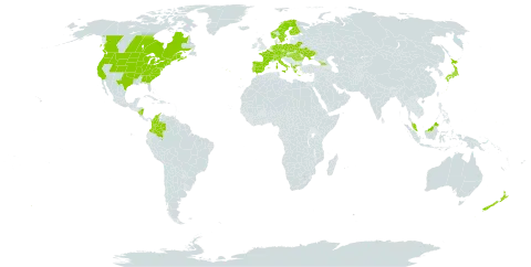 Euphorbia cyparissias world distribution map, present in Åland Islands, Albania, Austria, Belarus, Canada, Switzerland, Colombia, Czech Republic, Germany, Spain, Finland, France, Micronesia (Federated States of), Georgia, Greece, Hungary, Italy, Japan, Malaysia, Nicaragua, Netherlands, Norway, New Zealand, Poland, Portugal, Romania, Sweden, Turks and Caicos Islands, Ukraine, and United States of America