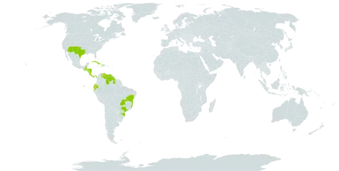 Euphorbia dioeca world distribution map, present in Aruba, Brazil, Costa Rica, Cuba, Dominica, Ecuador, Guatemala, Guyana, Honduras, Haiti, Nicaragua, Panama, United States of America, and Venezuela (Bolivarian Republic of)