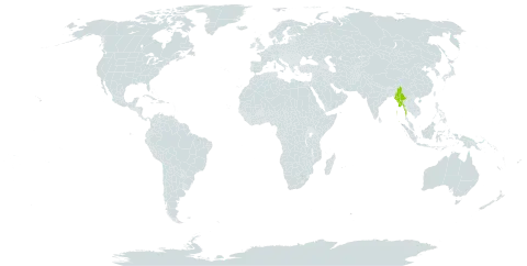 Euphorbia epiphylloides world distribution map, present in Andorra, India, and Myanmar