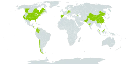 Euphorbia marginata world distribution map, present in Åland Islands, Austria, Canada, Chile, China, Colombia, Czech Republic, Spain, Micronesia (Federated States of), Georgia, India, Malaysia, Nicaragua, Pakistan, Poland, Taiwan, Province of China, and United States of America