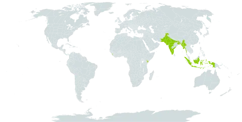 Euphorbia nivulia world distribution map, present in Bangladesh, Indonesia, India, Kenya, Sri Lanka, Myanmar, and Pakistan