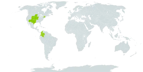 Euphorbia stictospora world distribution map, present in Colombia and United States of America