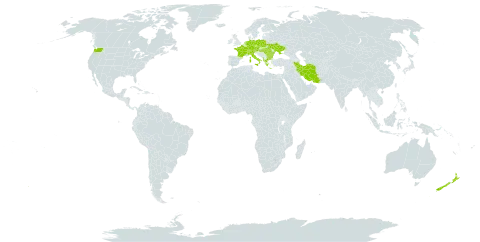 Euphorbia stricta world distribution map, present in Albania, Austria, Bulgaria, Switzerland, Czech Republic, Germany, France, Greece, Hungary, Iran (Islamic Republic of), Italy, Netherlands, New Zealand, Poland, Romania, Turks and Caicos Islands, Ukraine, and United States of America