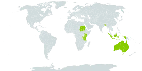 Euphorbia umbellata world distribution map, present in Australia, Burkina Faso, Bangladesh, Indonesia, Kenya, Rwanda, Sudan, Tanzania, United Republic of, and Uganda