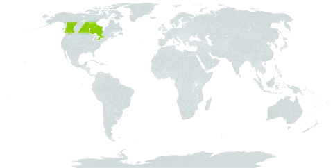 Euphorbia x pseudolucida world distribution map, present in Canada