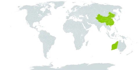 Euphorbiaceae world distribution map, present in Australia and China