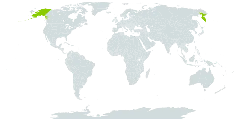 Euphrasia mollis world distribution map, present in Russian Federation and United States of America