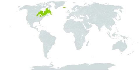 Euphrasia ostenfeldii world distribution map, present in Canada, United Kingdom of Great Britain and Northern Ireland, Iceland, and United States of America