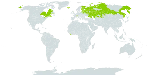 Euphrasia vernalis world distribution map, present in Belarus, Canada, Switzerland, Estonia, Finland, France, United Kingdom of Great Britain and Northern Ireland, Iceland, Kazakhstan, Liberia, Lithuania, Latvia, and Russian Federation