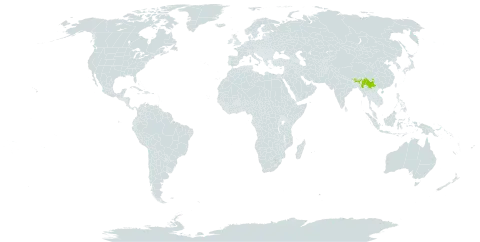 Eurya cavinervis world distribution map, present in Bhutan, China, India, Myanmar, and Nepal