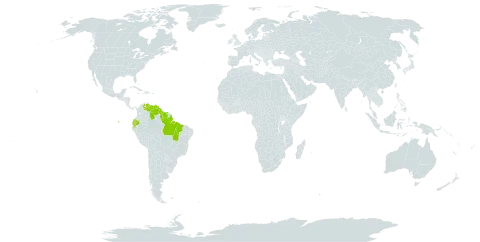 Euterpe oleracea world distribution map, present in Brazil, Ecuador, Guyana, Suriname, and Venezuela (Bolivarian Republic of)