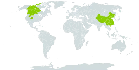 Eutrema salsugineum world distribution map, present in Canada, China, and United States of America