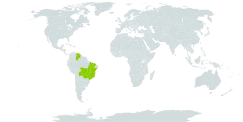 Evolvulus pterocaulon world distribution map, present in Bolivia (Plurinational State of), Brazil, and Venezuela (Bolivarian Republic of)