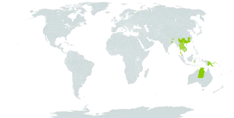 Exacum tetragonum world distribution map, present in Australia, Bhutan, China, Indonesia, India, Cambodia, Lao People's Democratic Republic, Malaysia, Nepal, Philippines, Papua New Guinea, Thailand, and Viet Nam